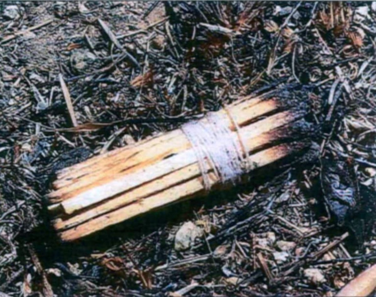 MAlpelicano's tweet photo. Foto policial en el informe que da carpetazo a la autoría de un incendio forestal.
Hay que ser retrasado para creerse que mientras arden miles de hectáreas de bosque y matorral, lo único que no arde es la madera de las cerillas. 
El Estado contra España.
👇 https://t.co/1xUEtbEUC0