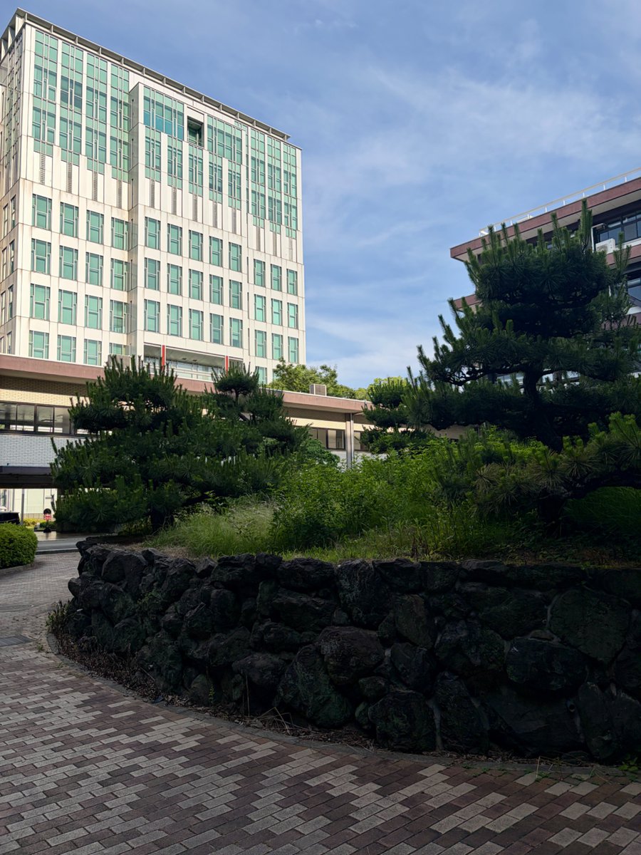 27_dxk's tweet photo. 参加校16校目は、大阪公立大学です✨️

大阪公立大学は、大阪市立大学と大阪府立大学の統合により誕生した、日本最大級の公立総合大学です☝🏻️🌟都会の中にある緑あふれるキャンパスで日々仲間たちと切磋琢磨に設計してます🏫🌱

#建築 #建築学生とつながりたい
#建築設計 #卒業設計
#diplomaxkyoto27 https://t.co/z9iQmM03ij
