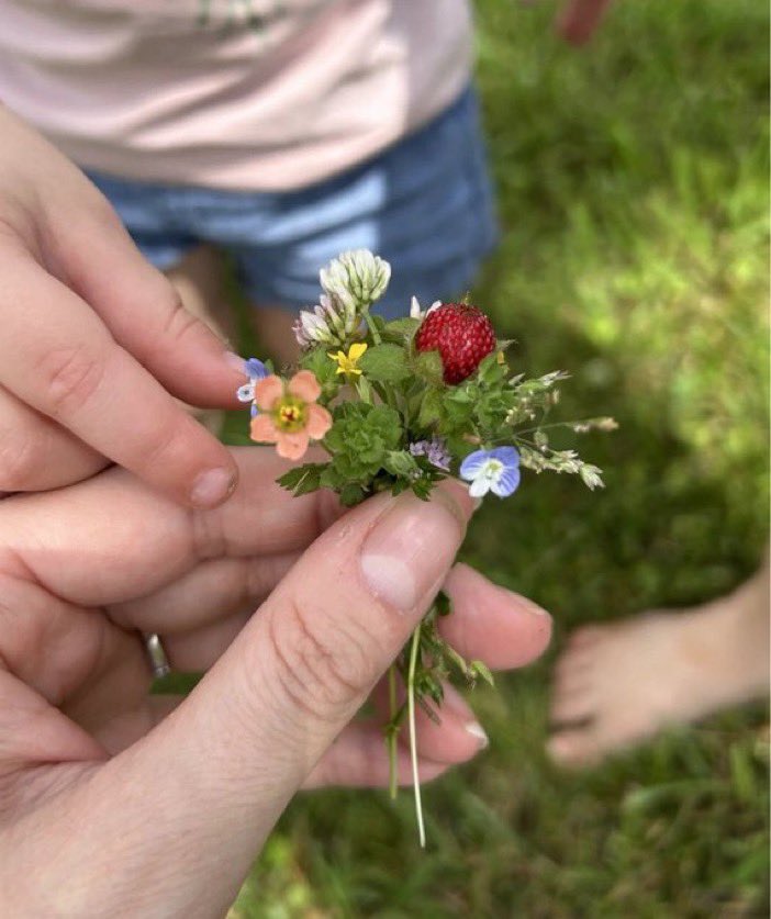 lunecrumbss's tweet photo. a little bouquet of earth 💐 https://t.co/bujdttVXbI