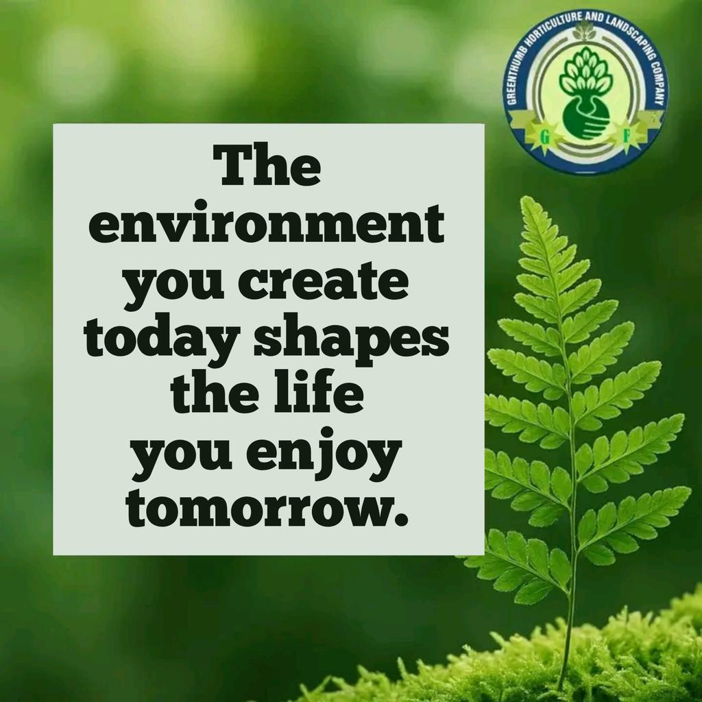 Greenthumbhort's tweet photo. Planting is more than beautifying a space, it's creating a healthier, cooler, and more peaceful place for yourself and future generations.

Every plant you nurture is a step toward a better environment.

Keep planting. Keep growing.

#GreeneryMotivation #GrowGreen #Greenthumb https://t.co/8jz2dJJaLq