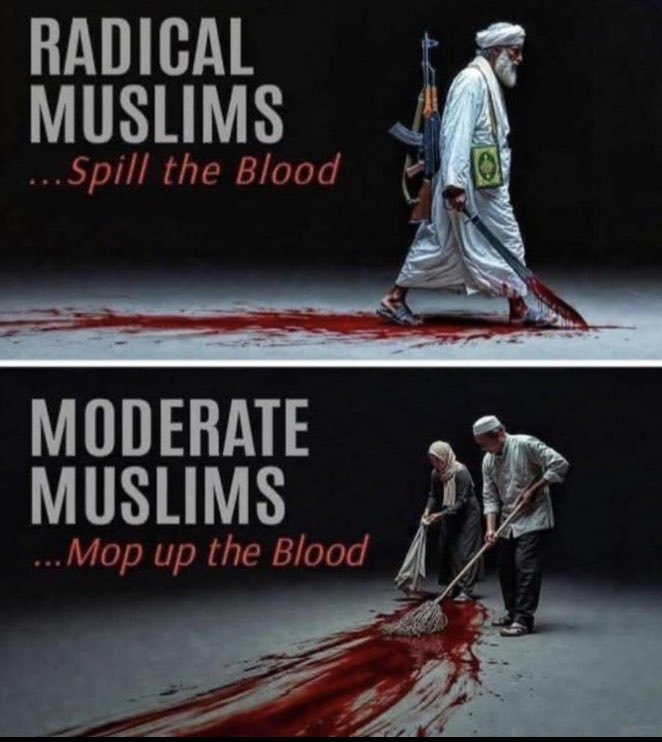 speakUp34's tweet photo. They are the same; there is no difference between them. https://t.co/nme2ILS1k8