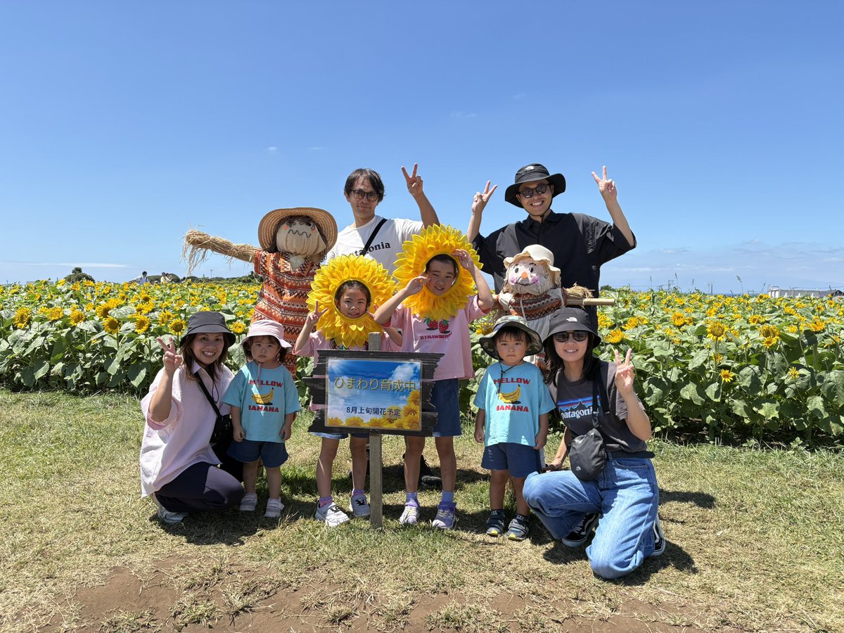 soleil_yokosuka's tweet photo. 本日のひまわり畑🌻
8/5時点で8分咲きとなりました！
今週末に満開となる予定です✨
ぜひソレイユの丘のひまわり畑で映え写真を撮影してSNSにアップしてね😎💛

#ソレイユの丘 #ひまわり https://t.co/mwGRH4cVgJ