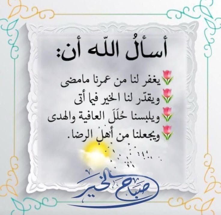 uae6070's tweet photo. https://t.co/29wyn6Q3cs