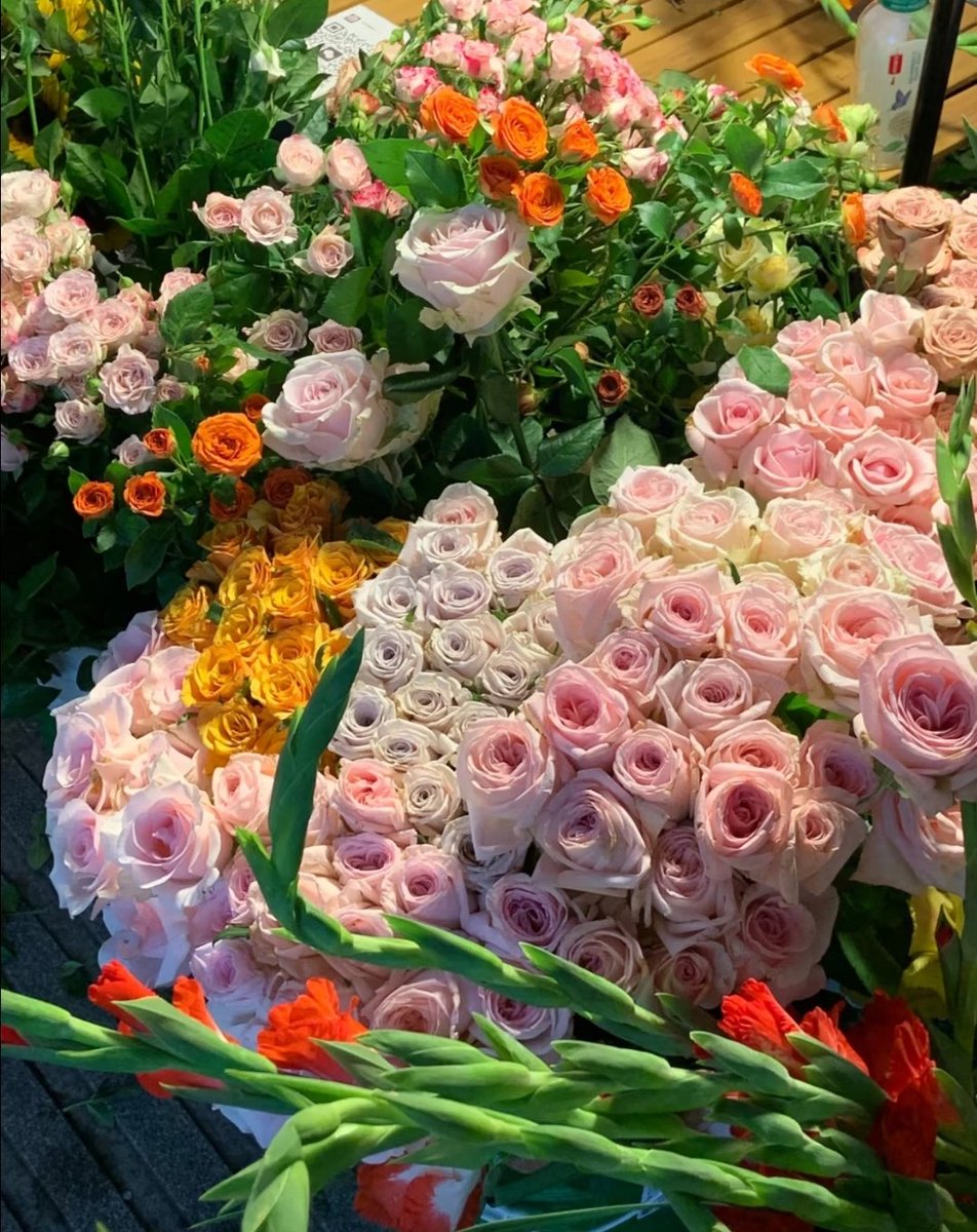 LANQIL123's tweet photo. 看花看花看花 https://t.co/D9RWvOOmIP