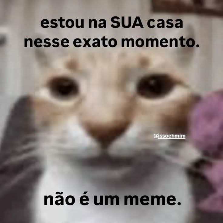NGCMATHEUS1's tweet photo. OI MEU CHAPA https://t.co/pa9wuC3Qr6