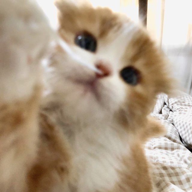 tinytetaez's tweet photo. เด็กเจน z มาก หน้าก็แบ๊ว ๆ มันเข้วง่ะ https://t.co/dUUcUo1WDn