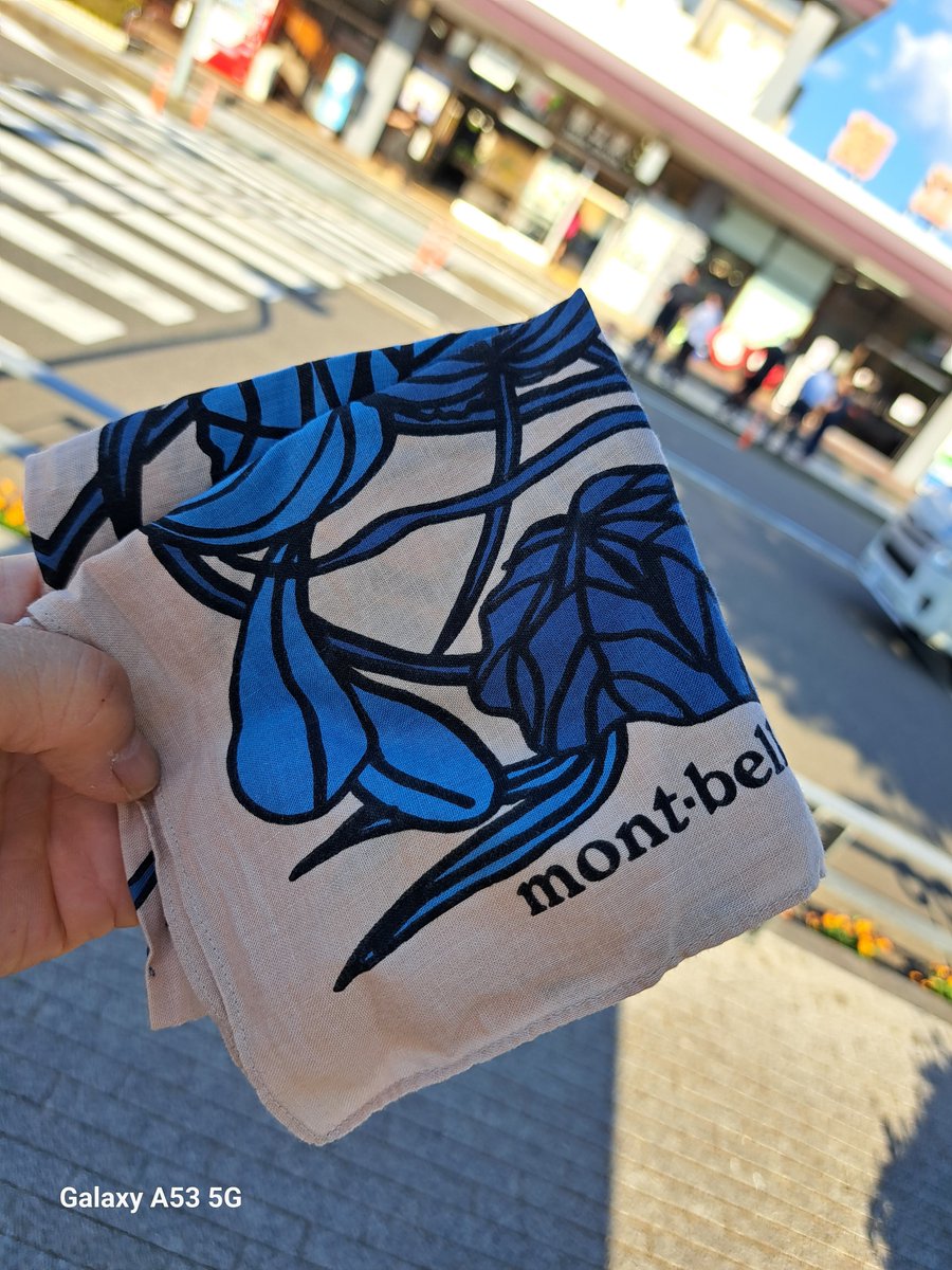 sabaeoseltukai's tweet photo. 昨日の落とし物です。 https://t.co/0imzLYNi4C