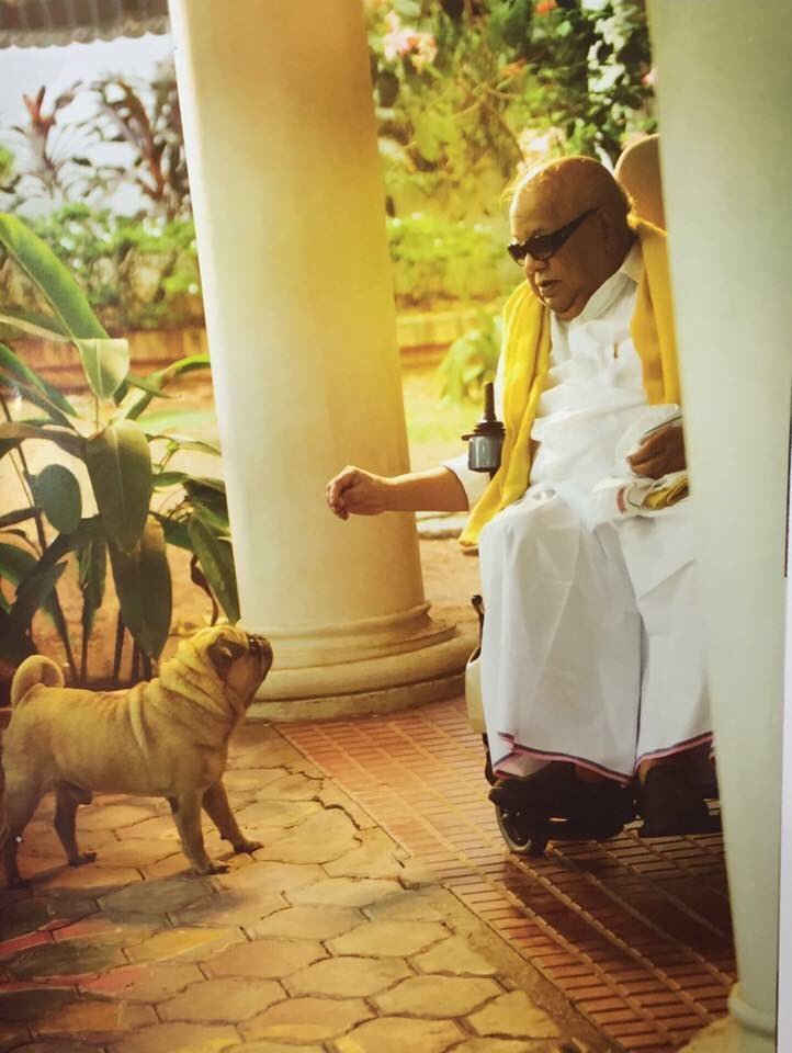 sakthibalanMSB's tweet photo. @mohandreamer இந்தா https://t.co/PjZuR2mYDG