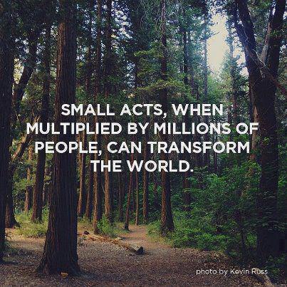 Greenisamissio1's tweet photo. It is sad that humanity has not yet realized that it will not be one person who fixes all the problems at hand. It concerns us all and everyone can do something about it.💚☘️🌱🌿🌳🌲🍀💚 https://t.co/HYHwe0AWtM