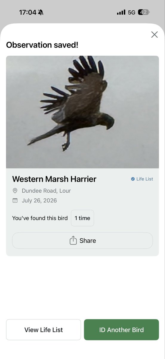 pipinuk1's tweet photo. Amazing what you see round these parts. Loving the #merlinbirdid app. #forfar #scotland #BirdsSeenIn2026 https://t.co/X6nAuBauAz