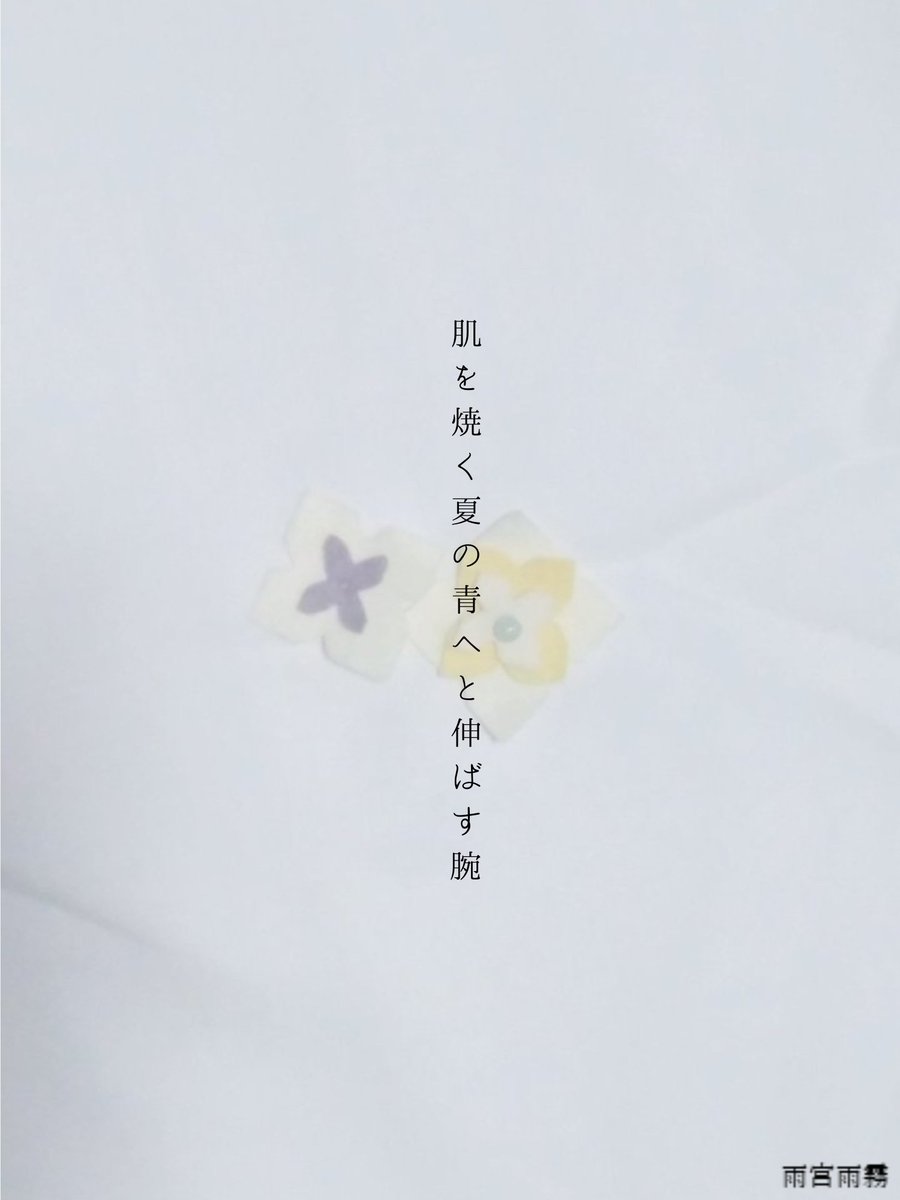 Amamiyaamaki's tweet photo. 肌を焼く夏の青へと伸ばす腕
#8月5日の創作 #短歌 #今日の創作 #haiku #俳句
季語：夏 https://t.co/EHDVvQcm6Z