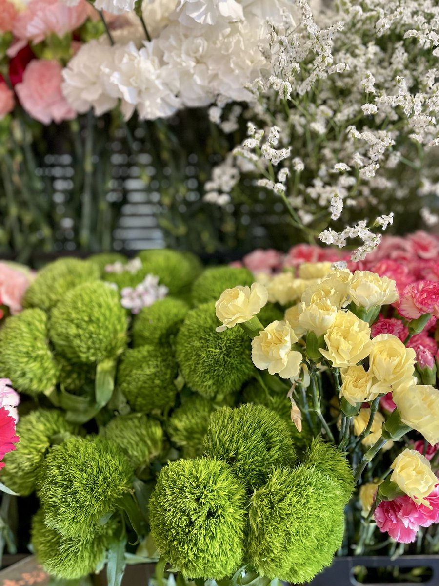 FlowerS48901380's tweet photo. 🌻夏を彩るお花が店内いっぱいに並んでいます✨お盆のお供え花や、ご先祖様を迎える、お花のご予約・ご注文も承っております🪷お気に入りのお花を見つけにぜひお気軽にお立ち寄りください😊
皆さまのご来店を心よりお待ちしております🙇‍♀️ #お盆 #花屋 #近くの花屋 #水元 #季節のお花 https://t.co/YHDS9V2if4