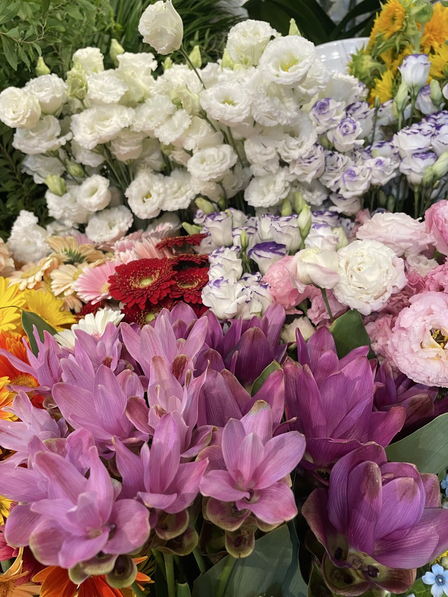 FlowerS48901380's tweet photo. 🌻夏を彩るお花が店内いっぱいに並んでいます✨お盆のお供え花や、ご先祖様を迎える、お花のご予約・ご注文も承っております🪷お気に入りのお花を見つけにぜひお気軽にお立ち寄りください😊
皆さまのご来店を心よりお待ちしております🙇‍♀️ #お盆 #花屋 #近くの花屋 #水元 #季節のお花 https://t.co/YHDS9V2if4