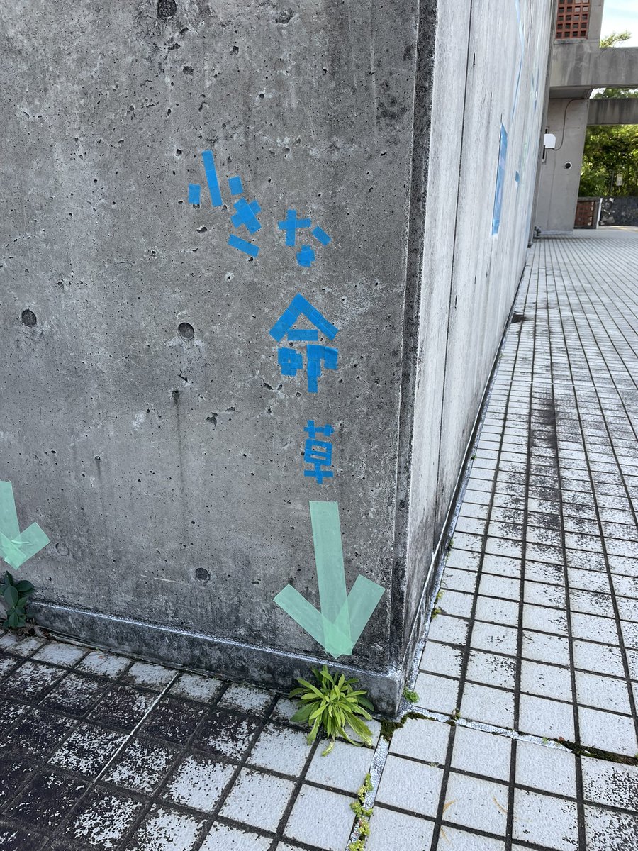 amusing365's tweet photo. 沖縄県立芸術大学 https://t.co/KQyY5hV4fH