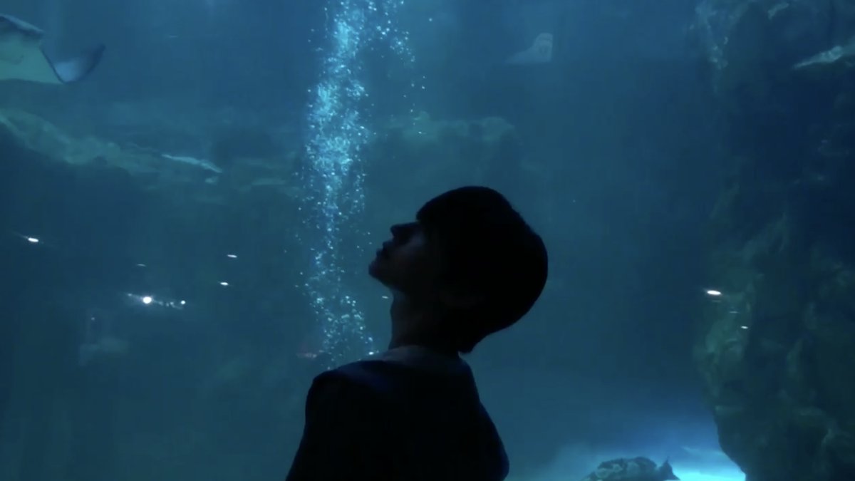 IDID_starship's tweet photo. Floating through blue • Chu Yoochan • Playlist by IDID

Frank Ocean “Pink + White” : The song that curated by Chu Yoochan

▶ https://t.co/pustJ4VTDN

#IDID #아이딧
#CHUYOOCHAN #추유��� https://t.co/BcwYLe35Yk