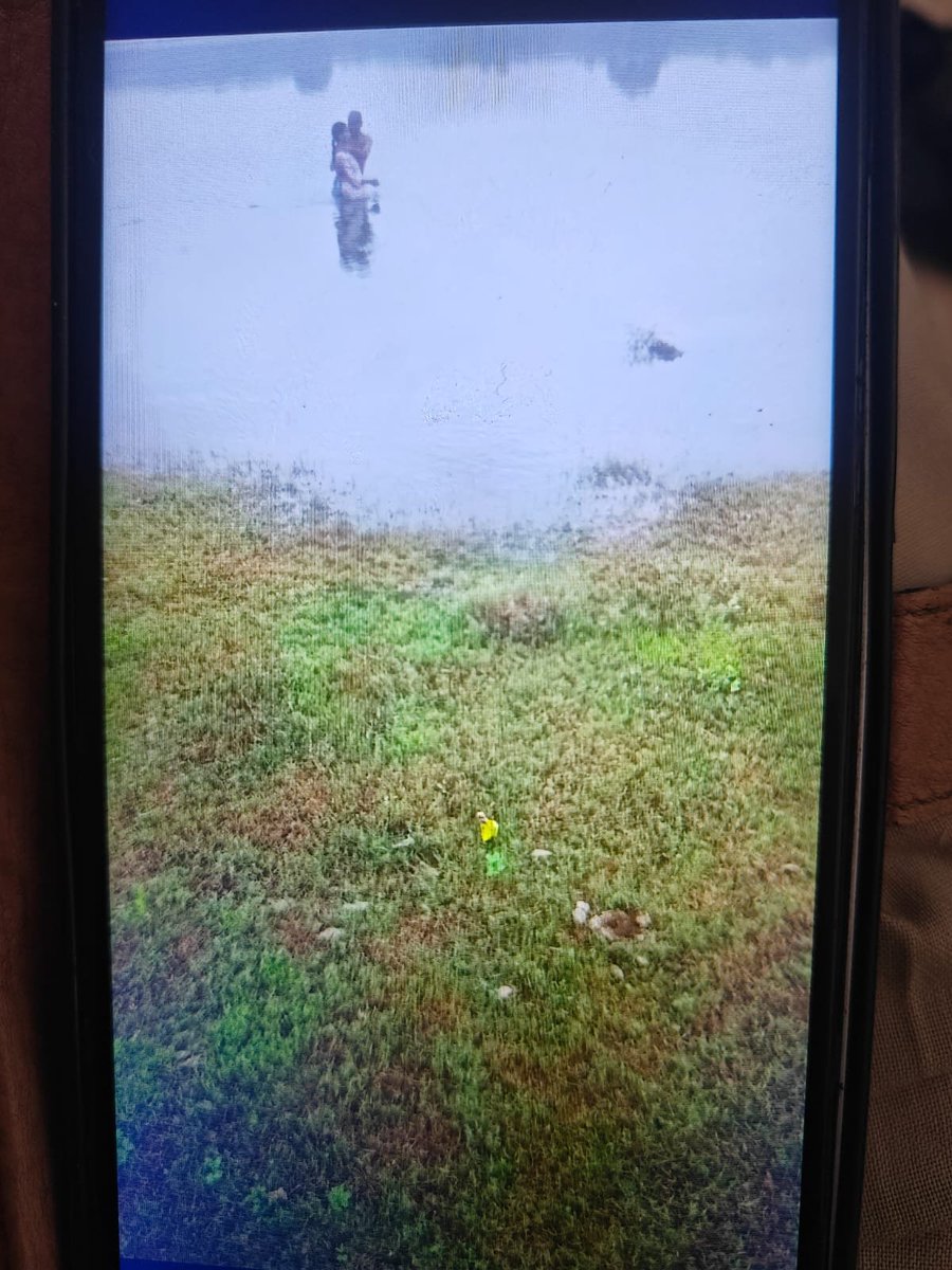 FastNewsInd's tweet photo. आगरा-दिल्ली से युवती को आगरा में लाकर हत्या

चंबल नदी में डुबोकर उतारा मौत के घाट

दिल्ली से लाकर युवती को चंबल नदी में डुबाया

युवती को दवा दिलाने के बहाने लाने का आरोप

युवती के गर्भवती होने की भी आशंका

बासौनी और दिल्ली पुलिस की संयुक्त जांच जारी 

#Agra @Uppolice @agrapolice https://t.co/GVRXjlq1t4