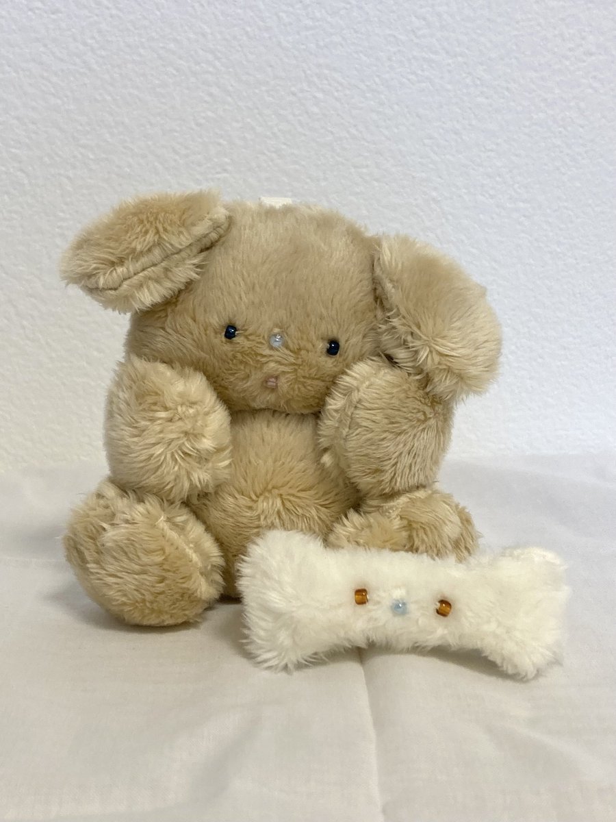 Macie_002's tweet photo. いぬとほねちゃん🐶🦴

 #ハンドメイド 
 #ぬいぐるみ 
 #犬 https://t.co/YfhkRCeXve