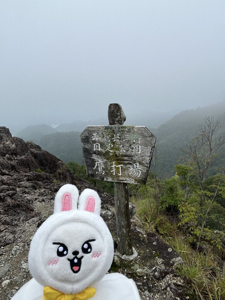 rinrinrin_rin13's tweet photo. 私が遠征中にDは🐰連れて登山⛰
リビのお顔が楽しそう🤭 https://t.co/A8yitZLMPE