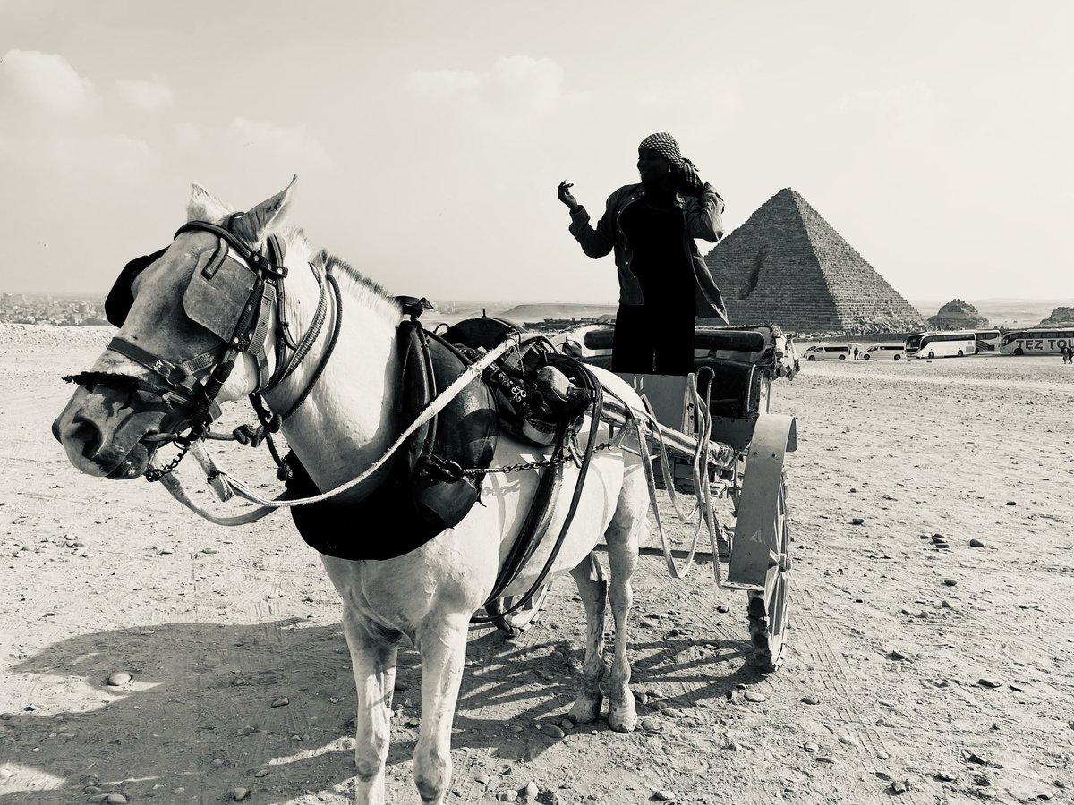 __Addee's tweet photo. Egypt 🇪🇬 
Slovenia 🇸🇮 
France 🇫🇷 
Italy 🇮🇹 https://t.co/glhek4qLx7