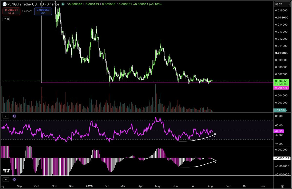 MacroCRG's tweet photo. $pengu my body is ready https://t.co/m9ptBsbMJo