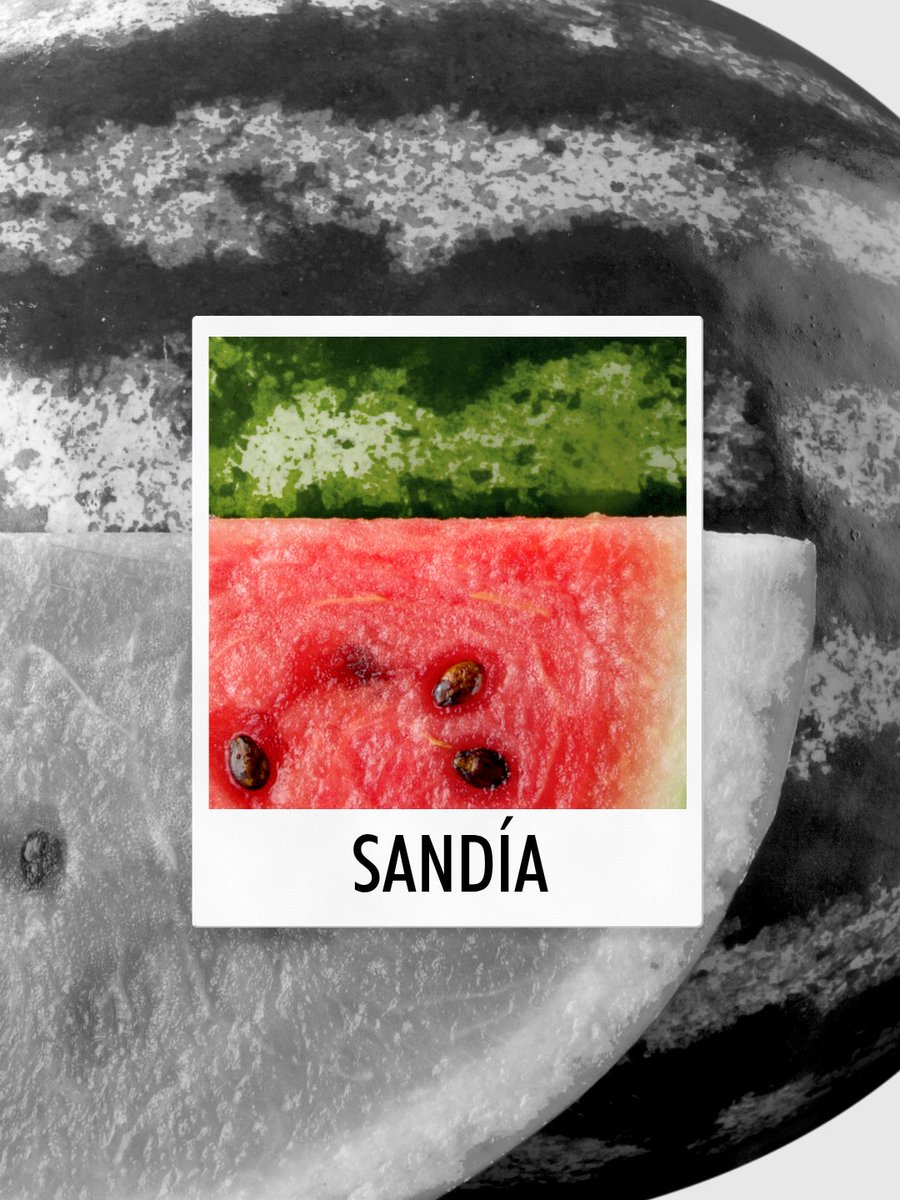 aragonalimentos's tweet photo. 🍉 ¿Sabías que... en Aragón la temporada de la sandía tiene su propio calendario? Su temporada óptima va de julio a septiembre 📅

Al madurar más despacio gracias al contraste de nuestras temperaturas, concentran gran dulzor y jugosidad.

#AragonAlimentos #AragonSaborDeVerdad https://t.co/robPYLAeLc
