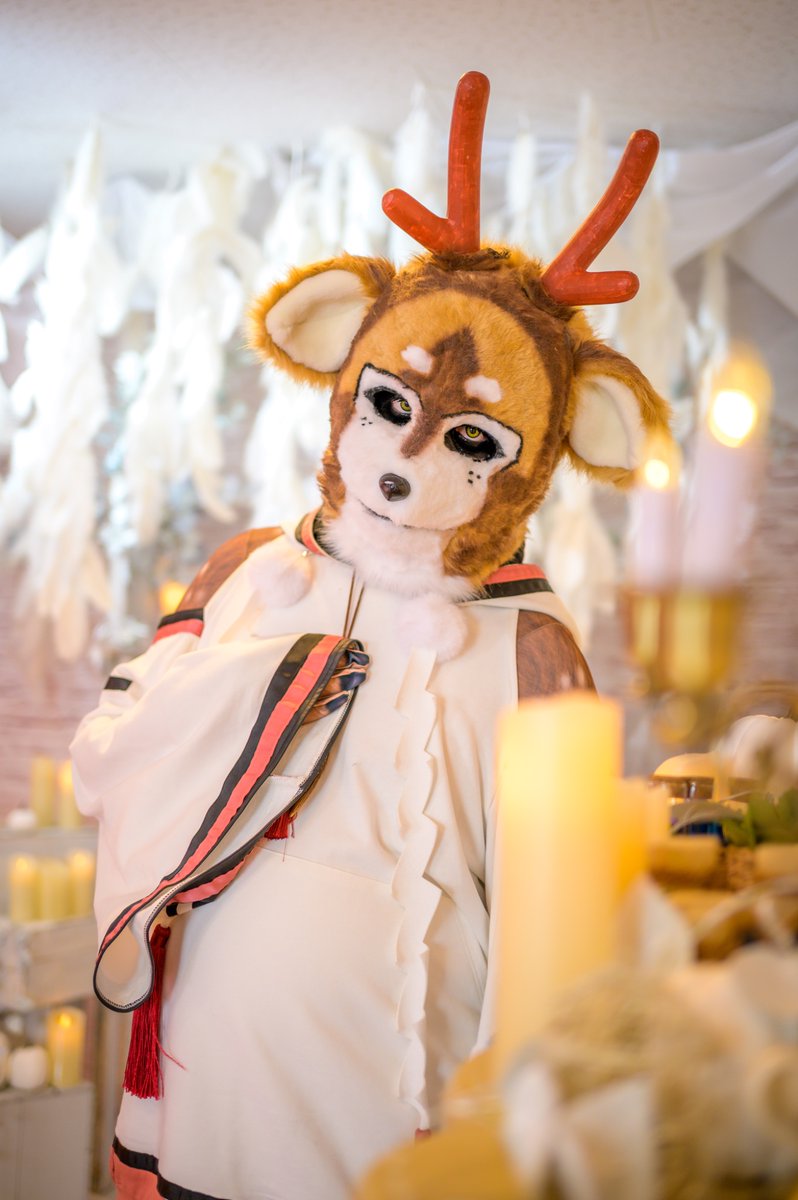 komataroro's tweet photo. 🦌🪽 https://t.co/PuqhEQmN6M