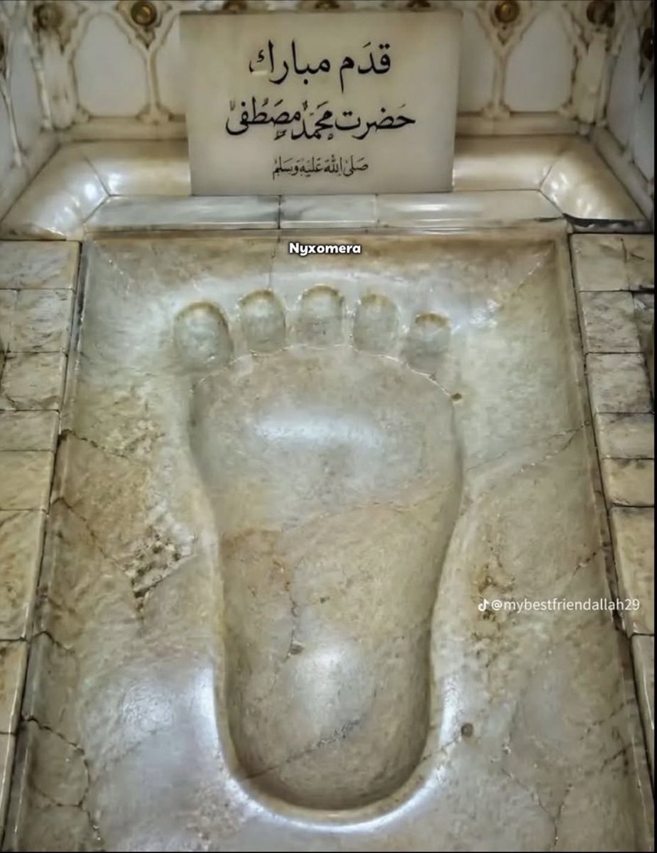gohardadizapas's tweet photo. خداوکیلی راستش رو بگین، شما هم تو نگاه اول فکر کردین سنگ مستراحه یا فقط من اینجوری دیدم؟ :)) https://t.co/LxoZ1EuRi2