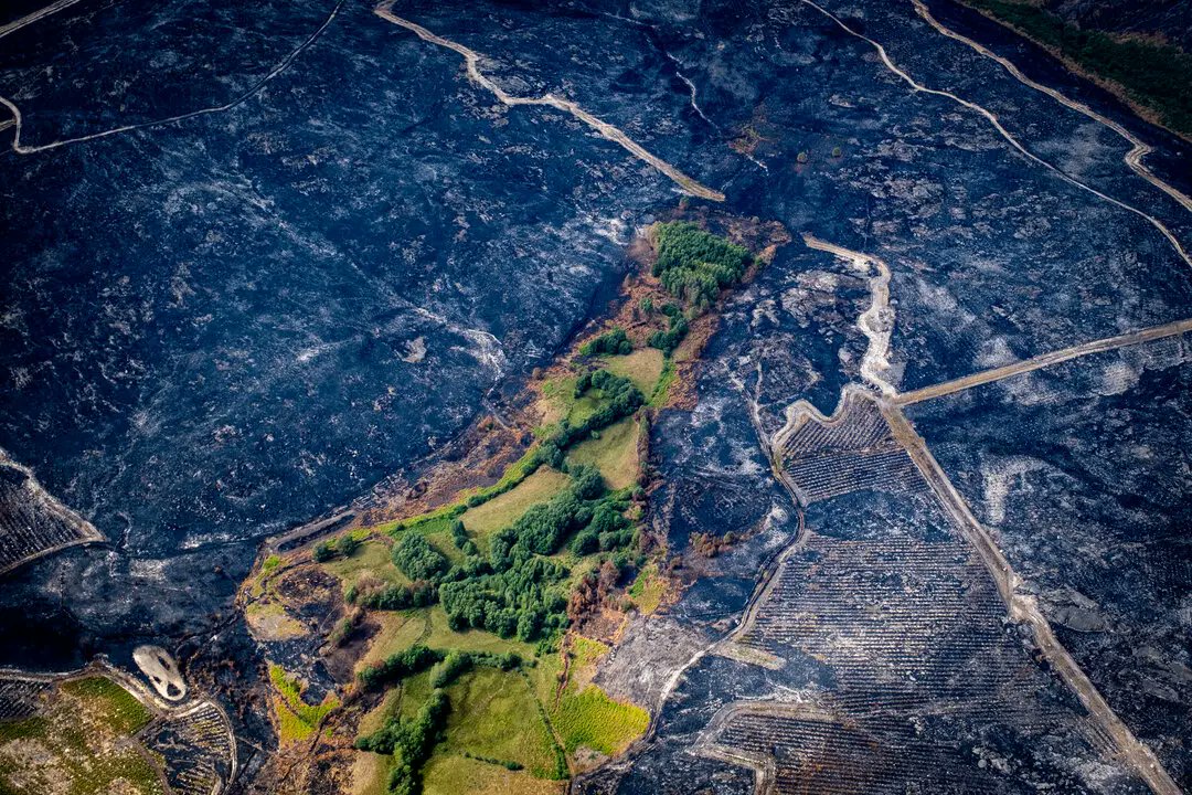PauCostaF's tweet photo. 🔥 Tras los grandes incendios de estas semanas en España, ha surgido el debate sobre el paisaje en mosaico y su eficacia 👉 ¿por qué han ardido territorios organizados en mosaico, incluidas zonas abiertas o adehesadas?  🧐Te lo contamos en este hilo 🧵👇 https://t.co/AWsIQmtZg9