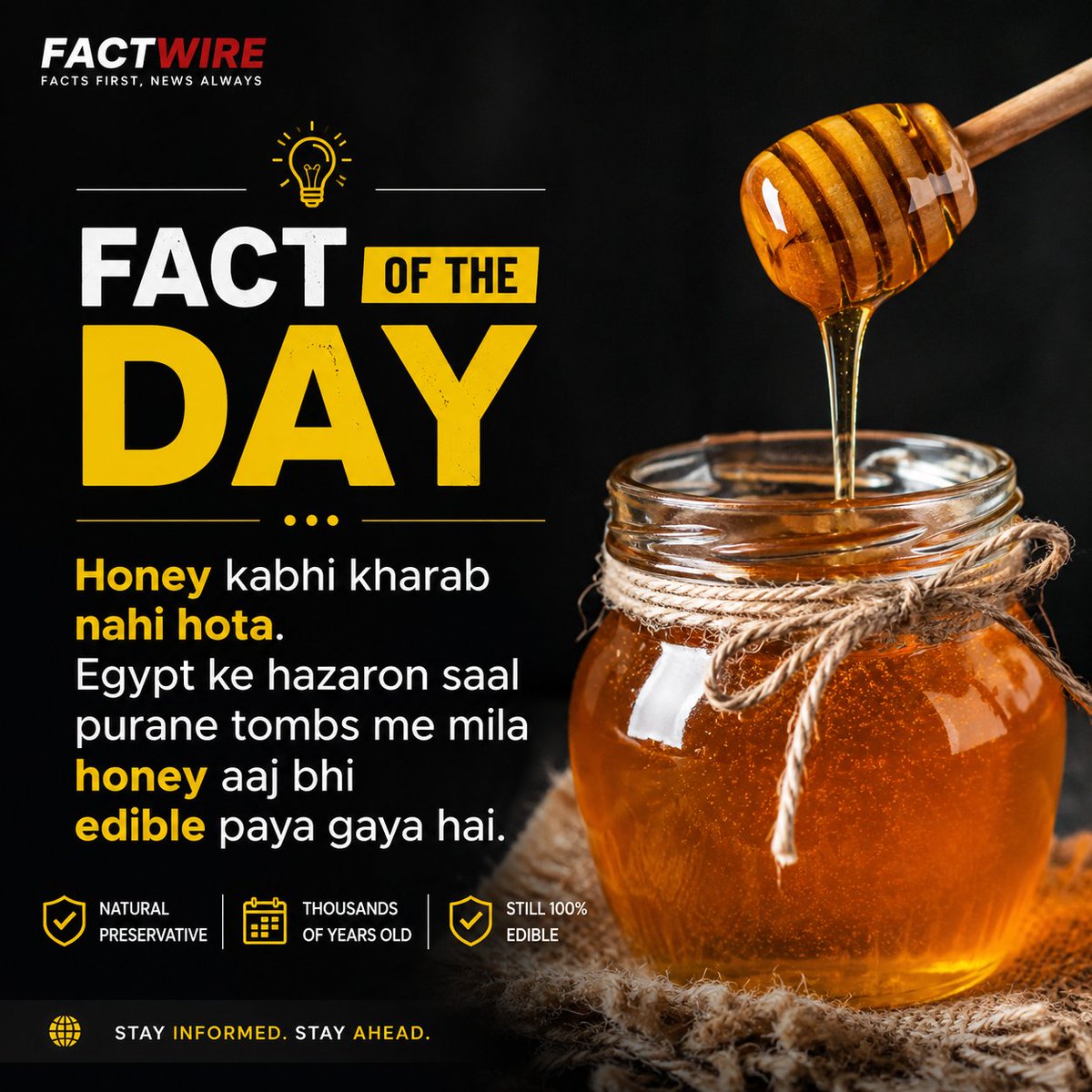 FactWireFW's tweet photo. 💬 Did you know this before?
🍯 YES or 🤯 NO? Tell us in the comments!
📌 Follow @FactWire for daily facts & trusted updates.
#FactWire #FactOfTheDay #DidYouKnow #DailyFacts #Knowledge #HistoryFacts #Honey #Egypt #InterestingFacts #LearnSomethingNew https://t.co/TxDHKvesQH