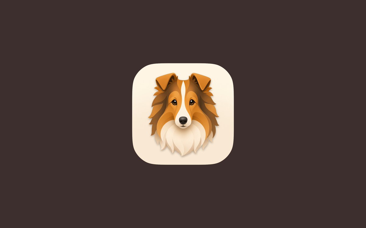 ryo_dg's tweet photo. Sheltieという、アートボードにWebサイトを並べられるMacアプリを作りました。デザインツールでデザイン作らずにいきなりAIでプロトタイプを作るケースも多いけど、複数ページを俯瞰できないのでトンマナを揃えづらい。そういう時に便利なソフトです。良かったら使ってね🐶
https://t.co/MQHLEyEZuQ https://t.co/FMyfH0WDJl