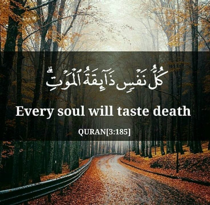 Muhamma68204190's tweet photo. @DrTariqFazal https://t.co/e3QZUx5c3G