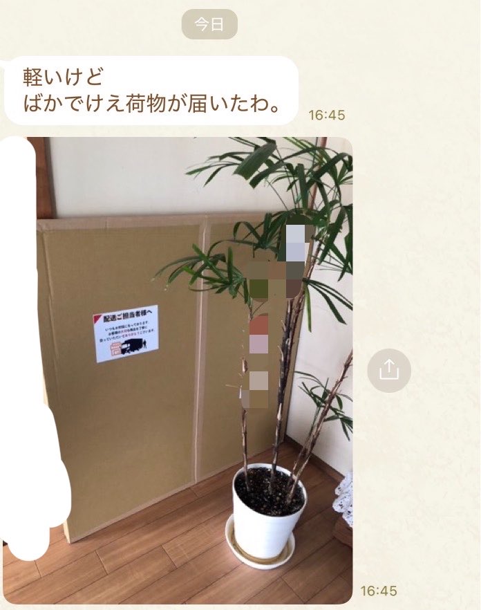 hijirigakawaii's tweet photo. お母さまから来たやばい　等身大パネル買ったことを言ってないため、本日恐怖の帰宅 https://t.co/x6rHteIszE