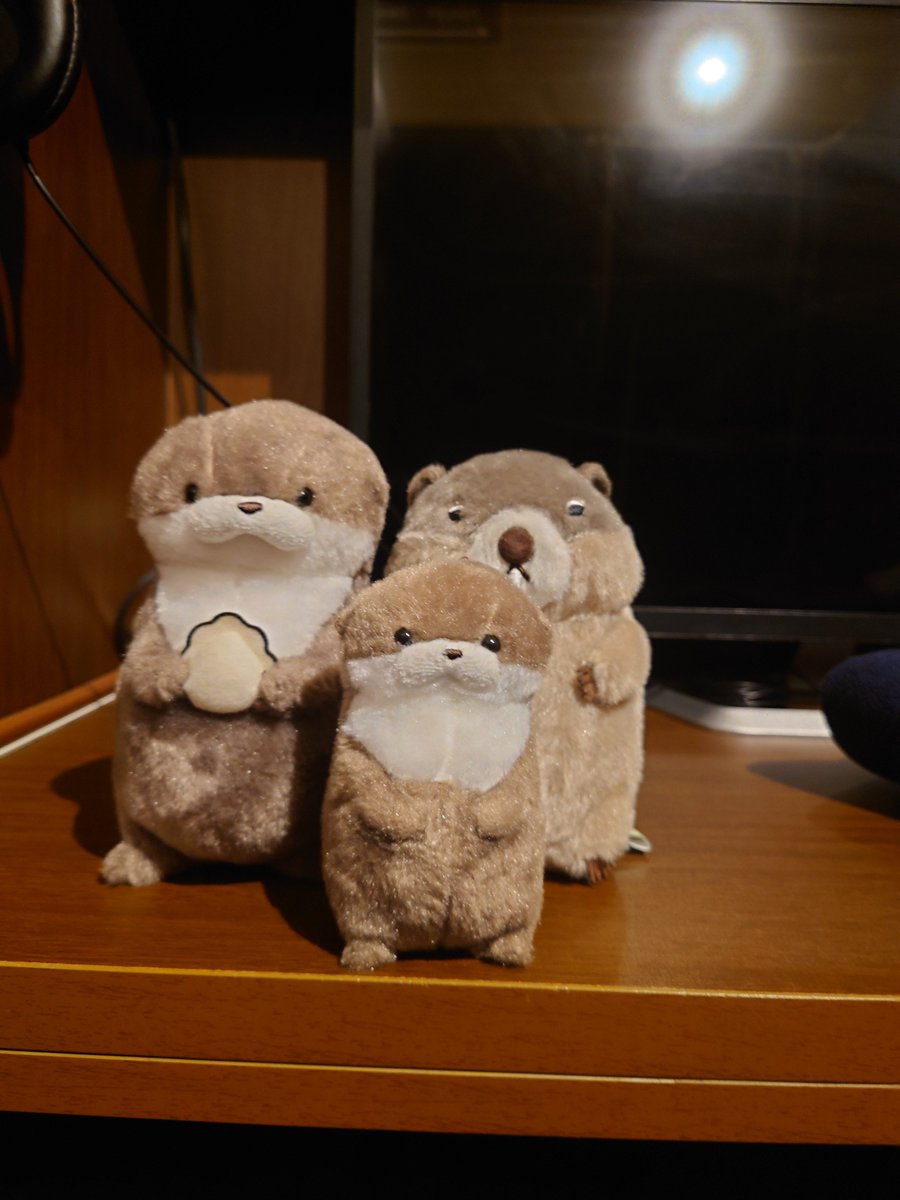 XYZ__48's tweet photo. #カワウソうそやん
#マーモットのもっとっと
#ぬい撮り
#ぬい活

大阪の旅は楽しめました！
たくさん神社回れました！
メインは近日投稿するかもです！

ʕ๑•ω•๑ʔ
ぼくもうんてんしてみたよ！✨️🚗 https://t.co/yUOD89enjD