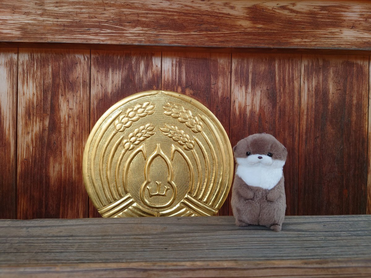 XYZ__48's tweet photo. #カワウソうそやん
#マーモットのもっとっと
#ぬい撮り
#ぬい活

大阪の旅は楽しめました！
たくさん神社回れました！
メインは近日投稿するかもです！

ʕ๑•ω•๑ʔ
ぼくもうんてんしてみたよ！✨️🚗 https://t.co/yUOD89enjD