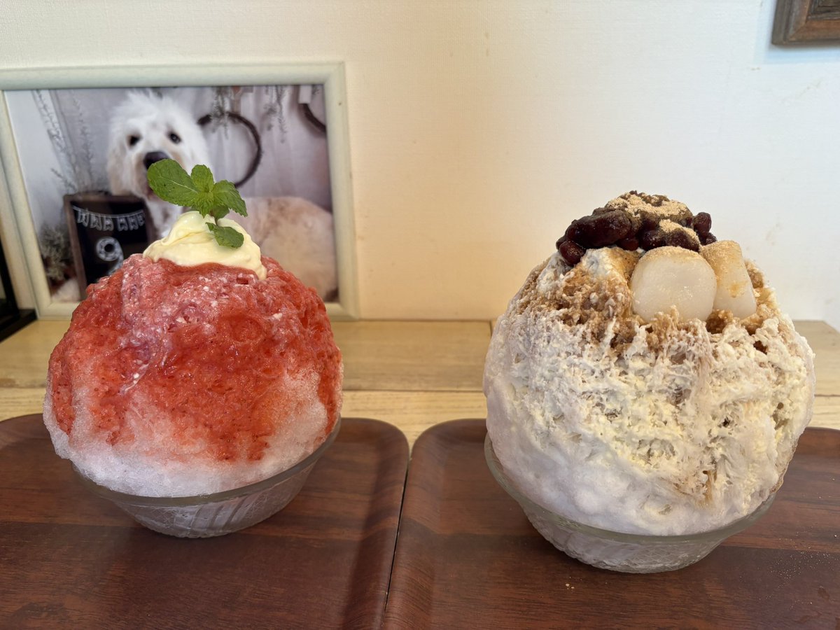 tabo0719's tweet photo. リクエストで海へ🏖️
予想より天気が良く満喫*\(^o^)/*
お昼は、まるわ食堂🕛🍽️
営業していたのでかき氷🍧も😋

#海水浴
#長者ヶ崎海岸
#まるわ食堂
#ひなたカフェ https://t.co/57jJoczEg7