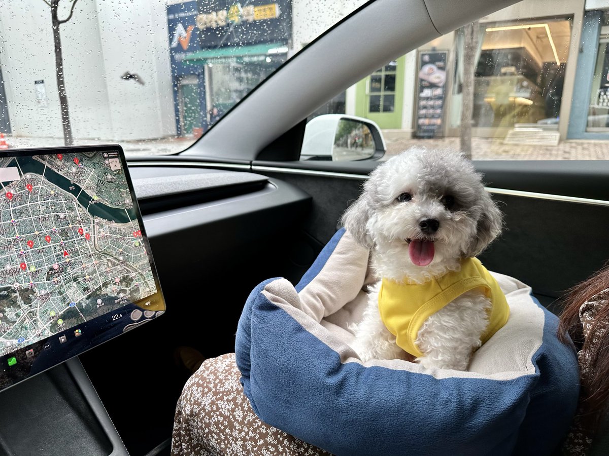 KORCANYVR's tweet photo. @newdtfullowning 강아지도 좋아 합니다 🐶❤️ https://t.co/QllDNEiPAm
