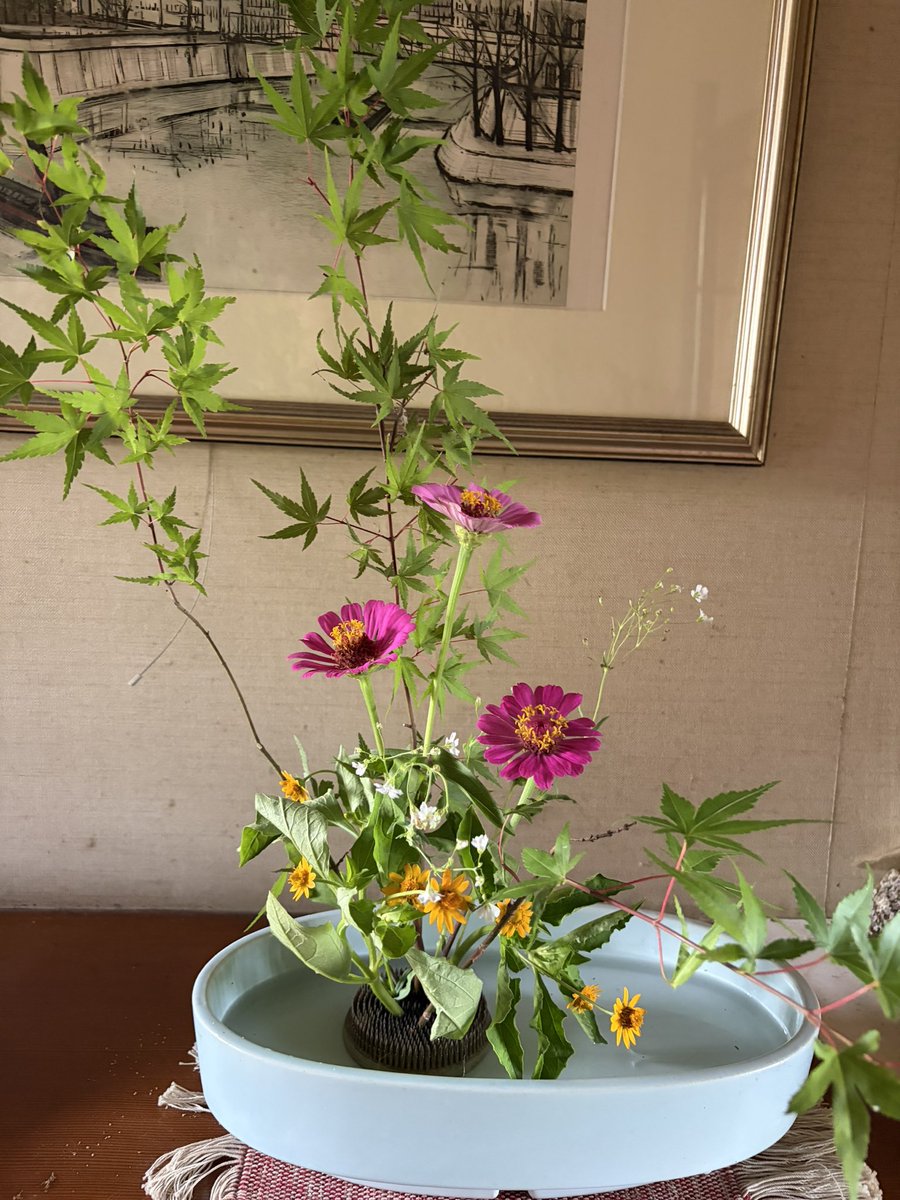 ohuton_violet's tweet photo. お花も生けた( ´ ▽ ` )ﾉ https://t.co/SdofjDRfkX
