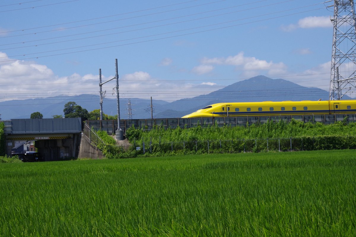 gappers3's tweet photo. 青、白、黄、緑の出会い

PENTAX K-1(up grade),
HD PENTAX-DFA 28-105/3.5-5.6ED DC WR
#PENTAX K-1
#RICOHIMAGING https://t.co/8agGz47BRr