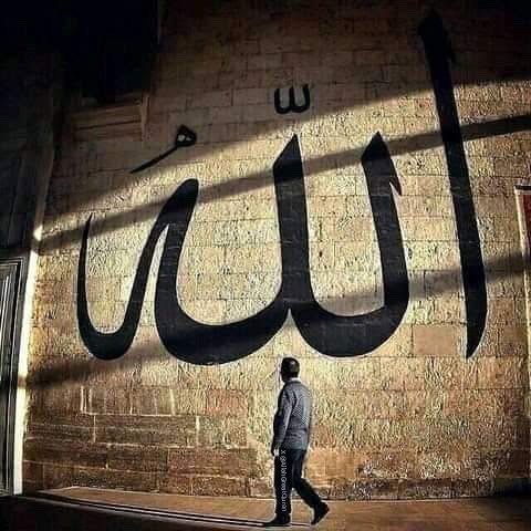 AllahGreatQuran's tweet photo. A silent reminder 📌
You are never alone. https://t.co/Ik4ivAWIKY