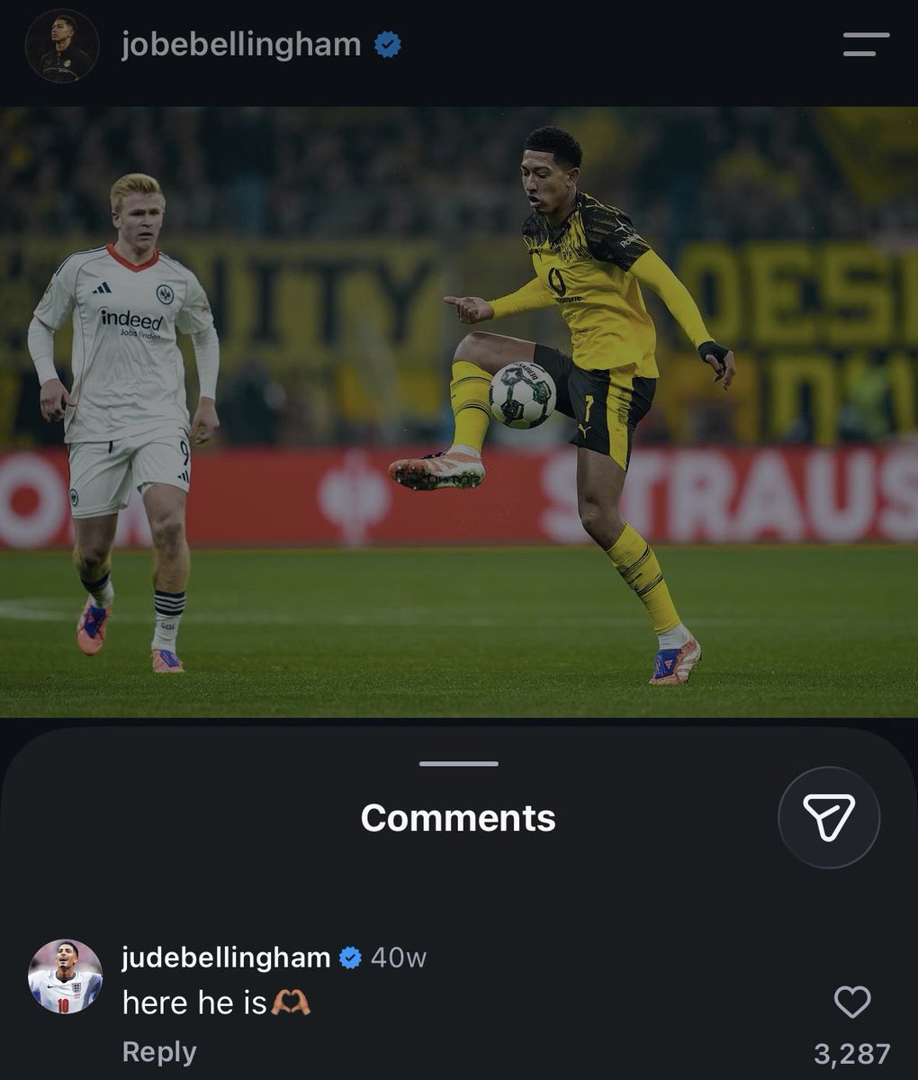 dipyouinharry's tweet photo. he comments under his brother’s ig posts like a girl https://t.co/dHujpqZgaD