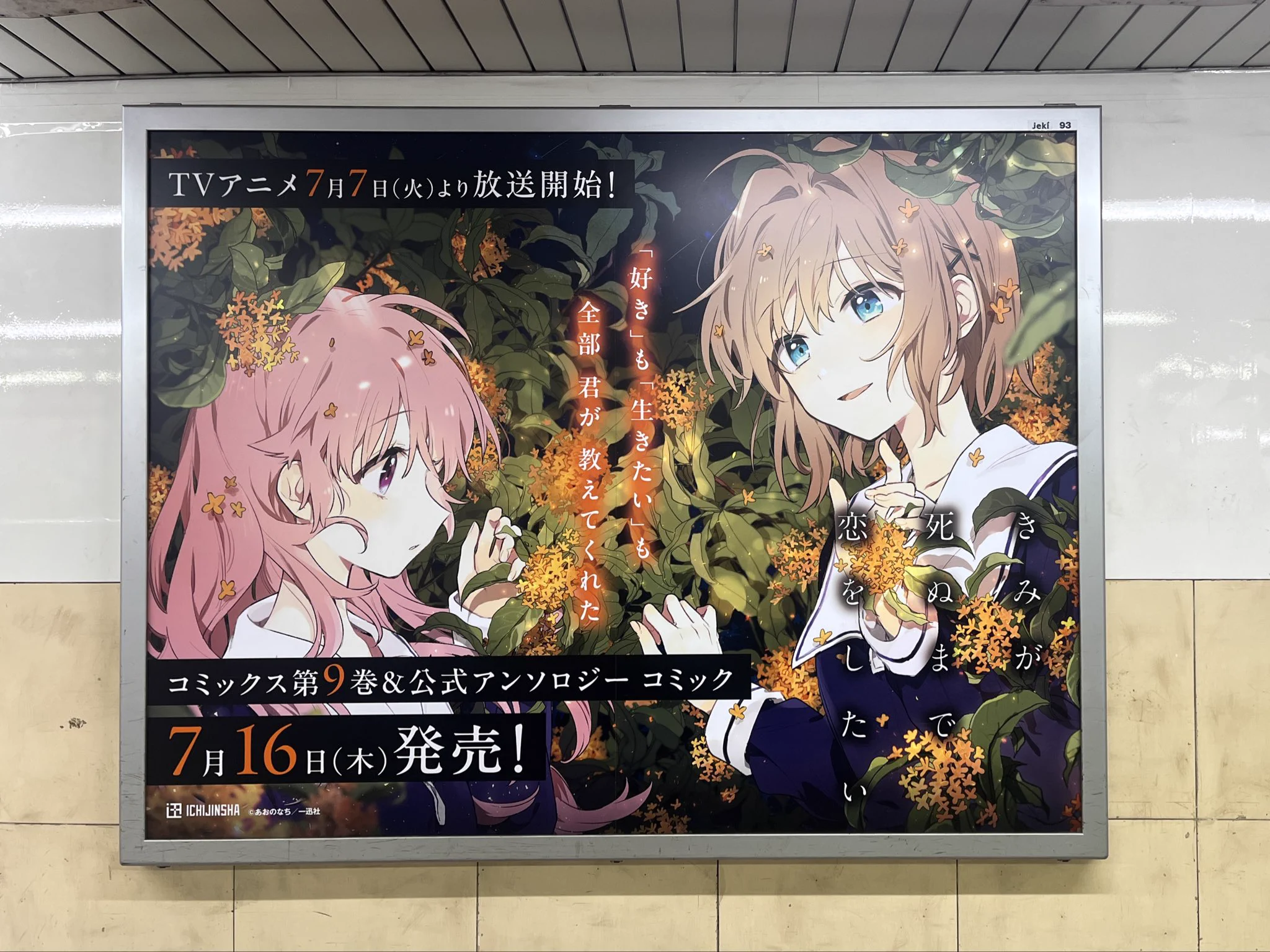 きみが死ぬまで恋をしたい　ポスター きみが死ぬまで恋をしたい公式 on X: 