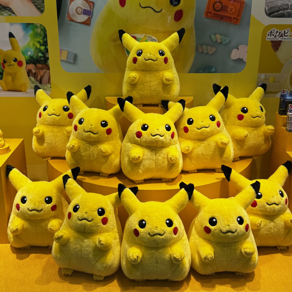 dedechamalove's tweet photo. かわいこちゃんがたくさんいた！⚡️ https://t.co/uyJ3d2djfI