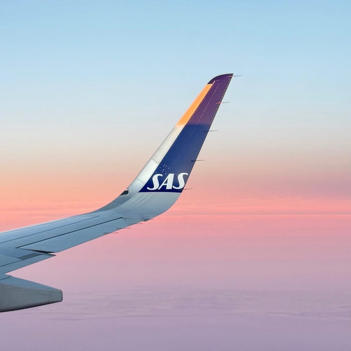 SAS's tweet photo. SAS is Europe's most punctual airline for July 2026 according to Cirium
84.32% on-time arrival rate during peak summer travel, no less.

Huge thanks to our teams keeping operations moving, every single day ✈️  #SAS80years https://t.co/Nwres0eaq7