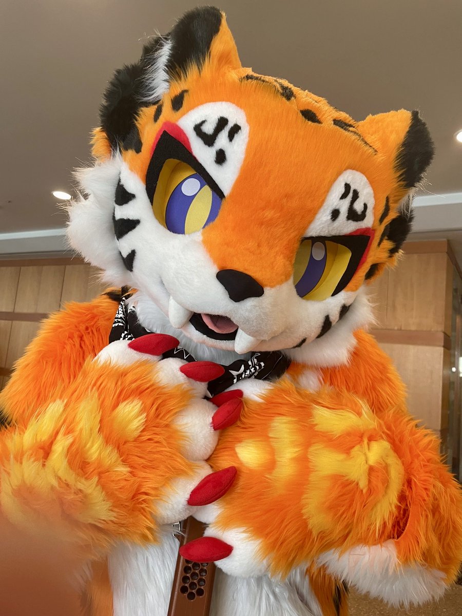 Dae_Ryoon's tweet photo. ☺️

📷 @Kobi_Fur

#FursuitsEveryday https://t.co/l9Vbw7LJ1D