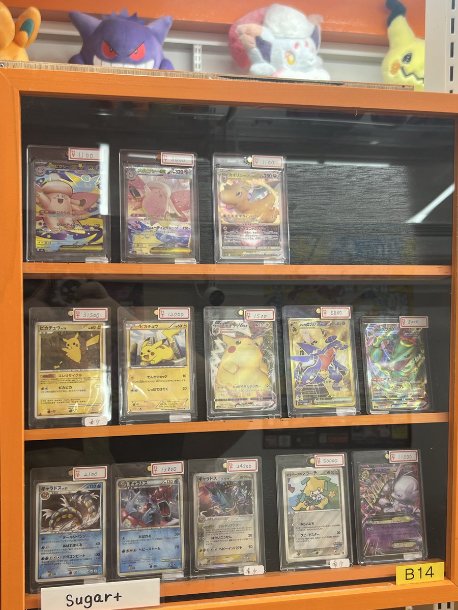 TCGDungeon_Osu's tweet photo. #レンタルショーケース
本日も商品補充いただきました👏

魅力的な商品がたくさん展開されております❣
ご来店お待ちしております😍 https://t.co/ILW0bNkMlJ