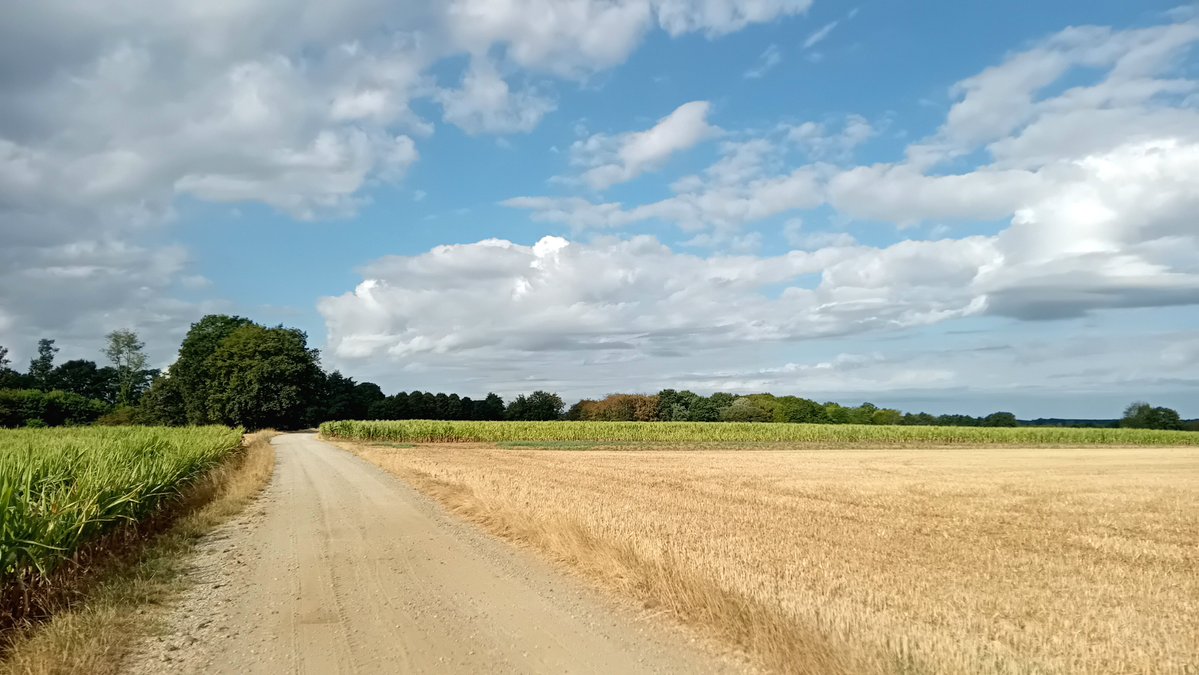 GysemansGoedele's tweet photo. #vrtweer @BuienradarBE #Schaffen 9.25 uur https://t.co/brit0PnF7o