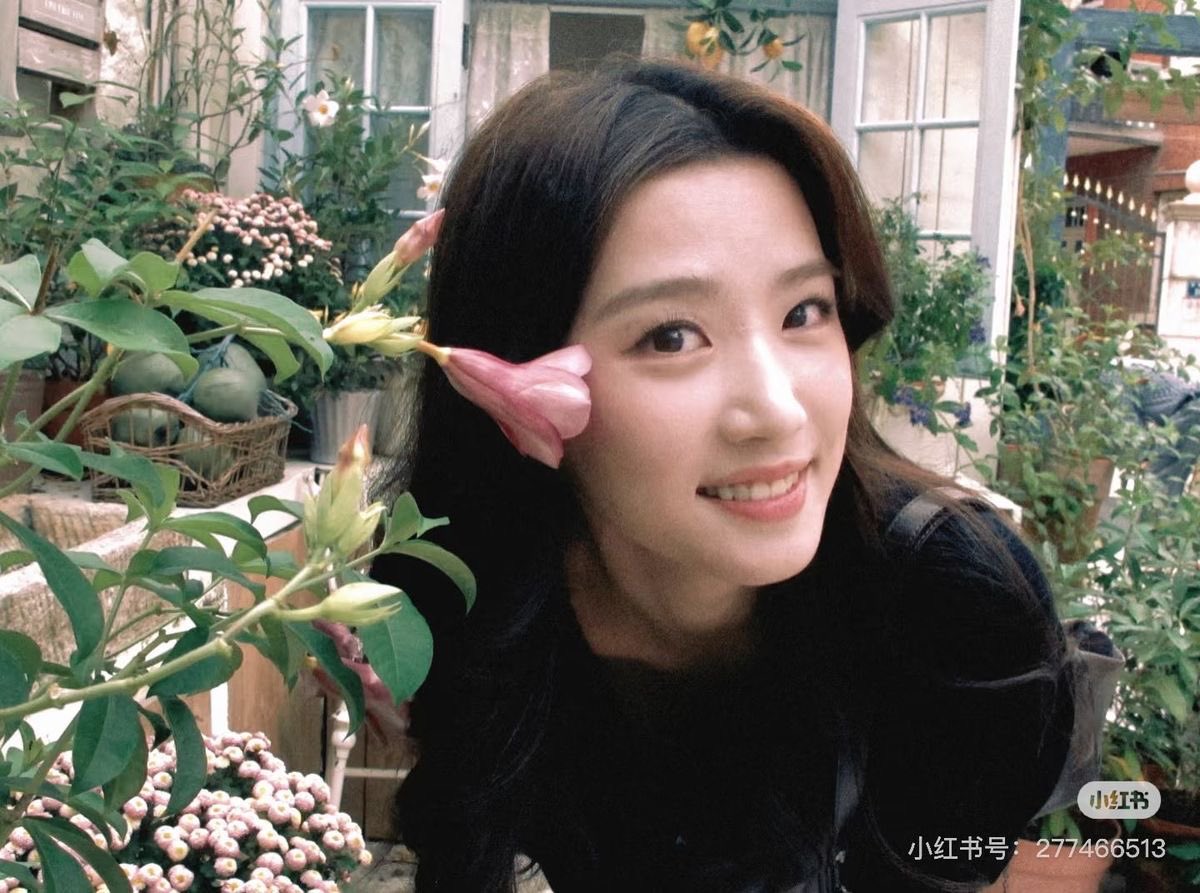 daiovl's tweet photo. 노욱효붐은왔다 https://t.co/YdgKY67jyL
