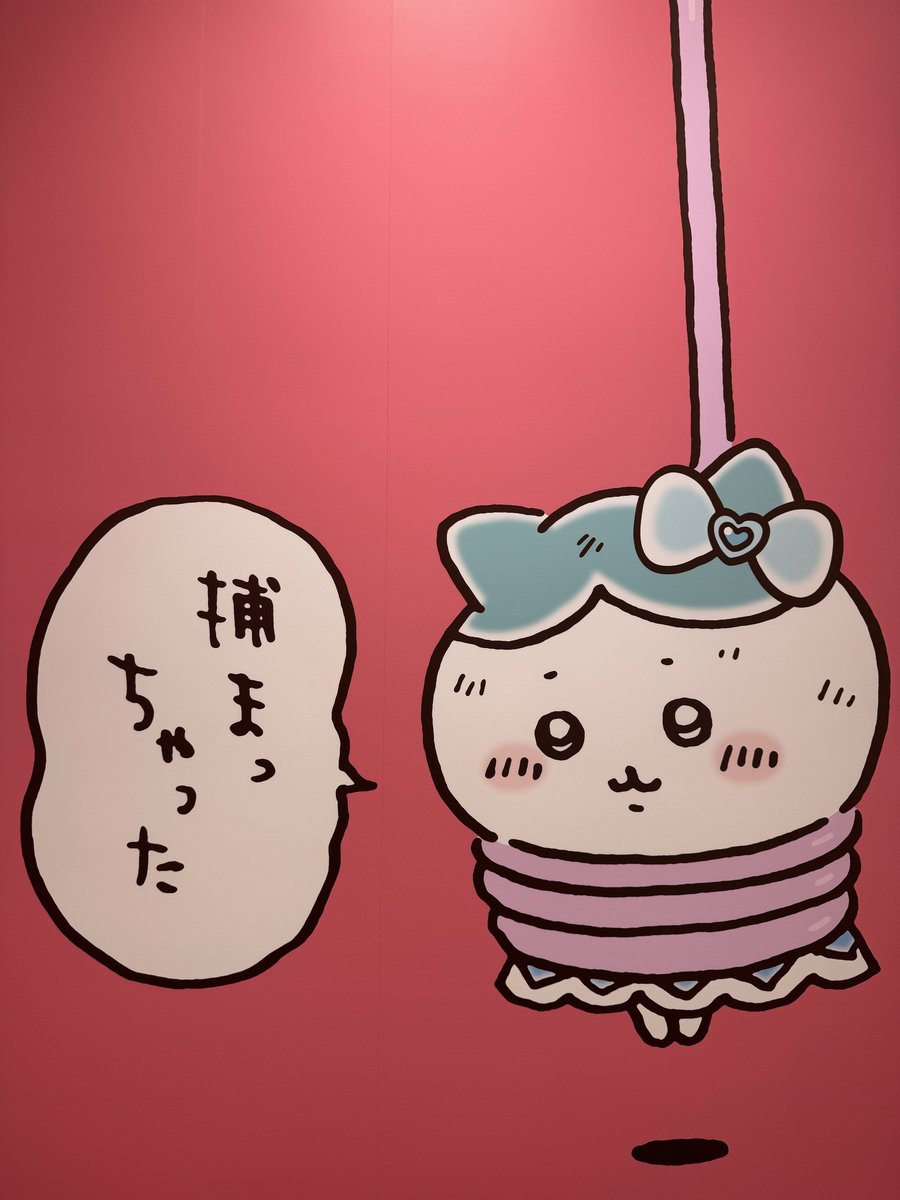 kamo41261's tweet photo. 気分が落ち込み気味…🥺（燃え尽き？）
子②もいないし寂しいなー。 https://t.co/MjexzlsL4V