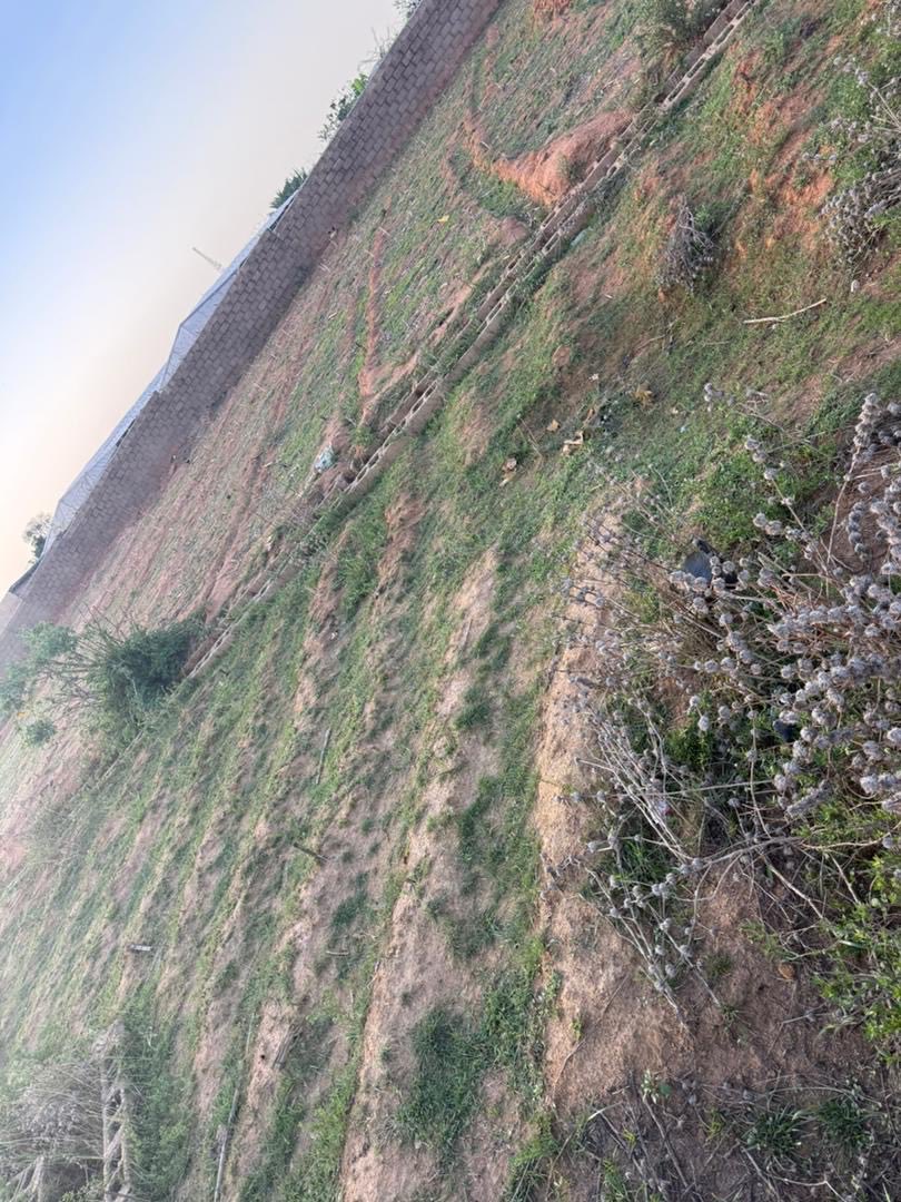 Selveenltd's tweet photo. 2 plots of land at ID Gyang Rayfield 
16M per plot Net
Title sales agreement from customary owner
Direct brief call 08022569863 https://t.co/XTsRyNLIXk