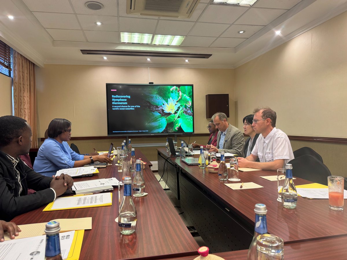 IucnRwanda's tweet photo. Yesterday @IucnRwanda held a workshop on urgent conservation action for the critically endangered Rwandan Waterlily (Nymphaea thermarum).

The workshop provided an opportunity to strengthen collaboration, share knowledge and advance conservation actions for Nymphaea thermarum. https://t.co/IxVL6MmNFn